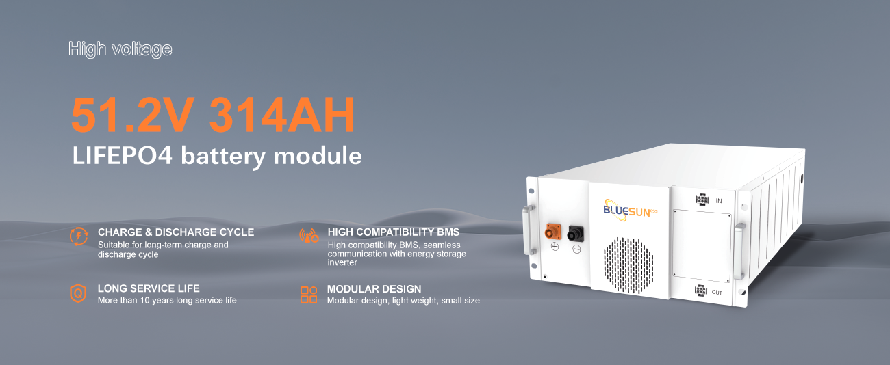 BSM48314H Indoor